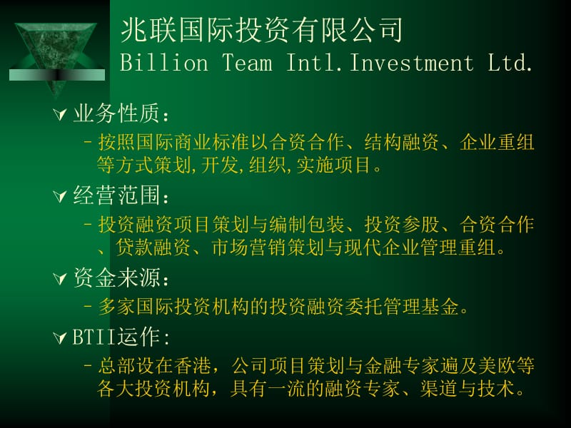 兆联国际投资有限公司.ppt_第2页