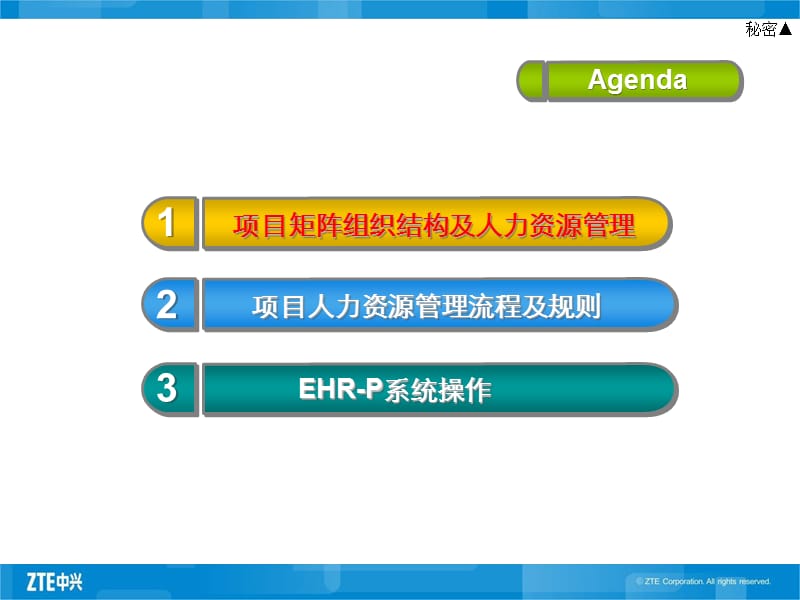 项目矩阵组织结构人力资源管理.ppt_第2页