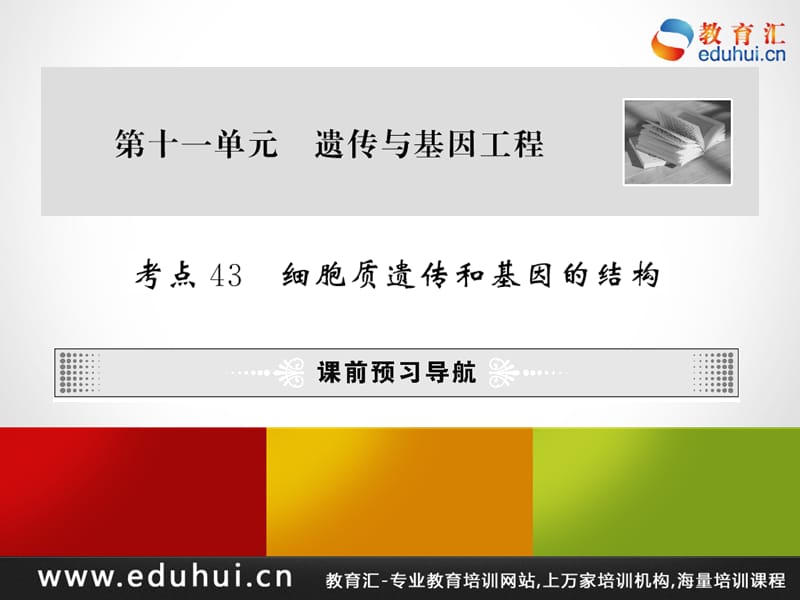 高考生物第一轮复习精品课件包第十一单元遗传与基因工程43.ppt_第1页