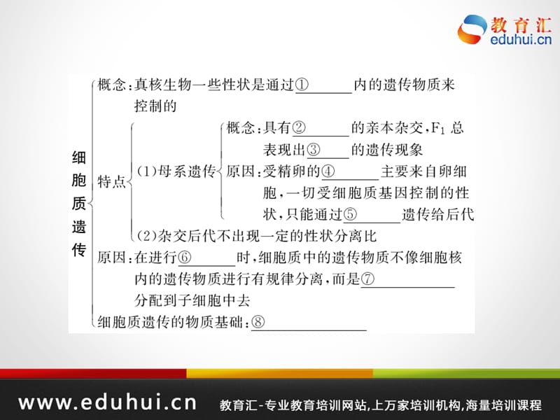 高考生物第一轮复习精品课件包第十一单元遗传与基因工程43.ppt_第2页