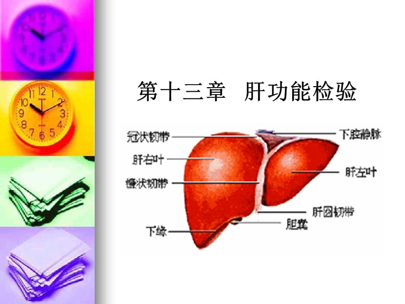 肝功能检查ppt课件.ppt_第1页