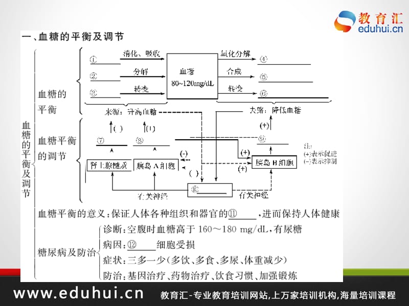 高考生物第一轮复习精品课件包第九单元人体生命活动的调节和免疫39.ppt_第2页