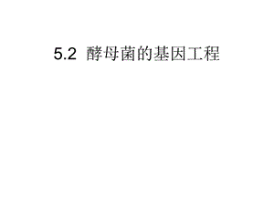 酵母菌的基因工程.ppt