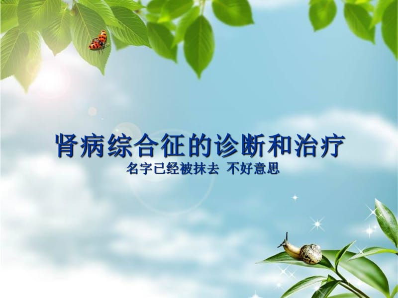 肾病综合征的诊断和治疗.ppt_第1页