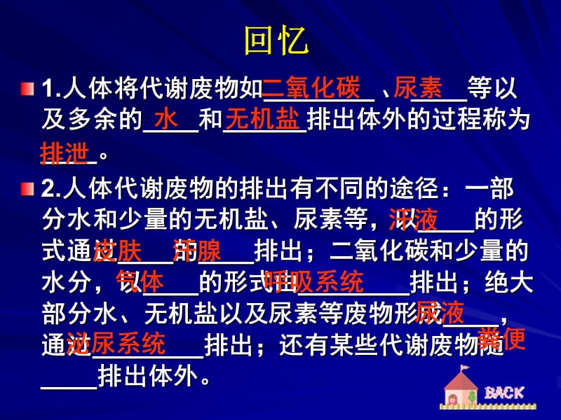 肾脏的结构(4月10).ppt_第1页