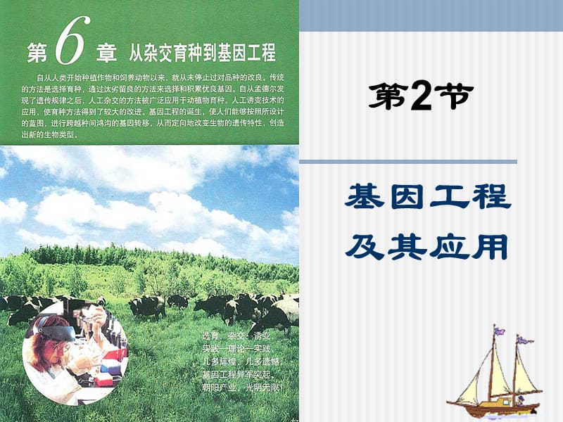 生物：6.2《基因工程及其应用》课件(新人教版必修2).ppt_第1页