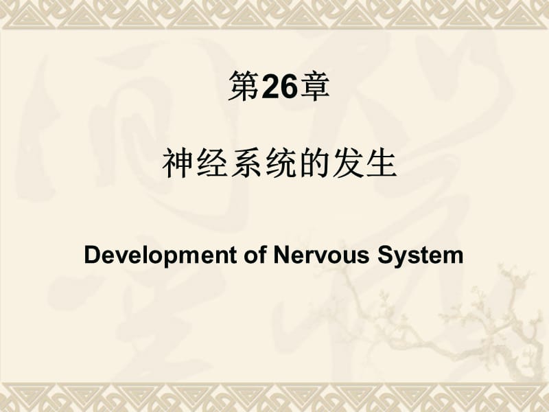 最终26神经系统发生.ppt_第1页