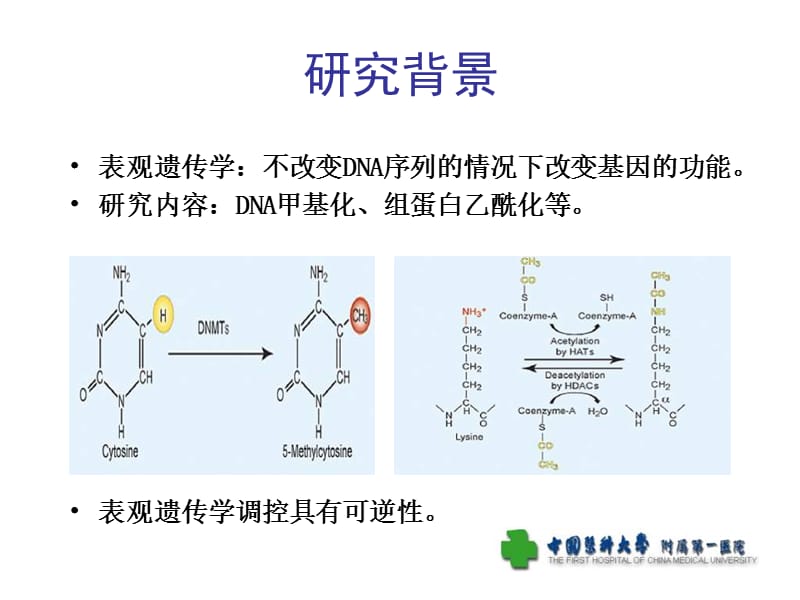 表观遗传调控对腹主动脉瘤患者单个核细胞的影响.ppt_第3页