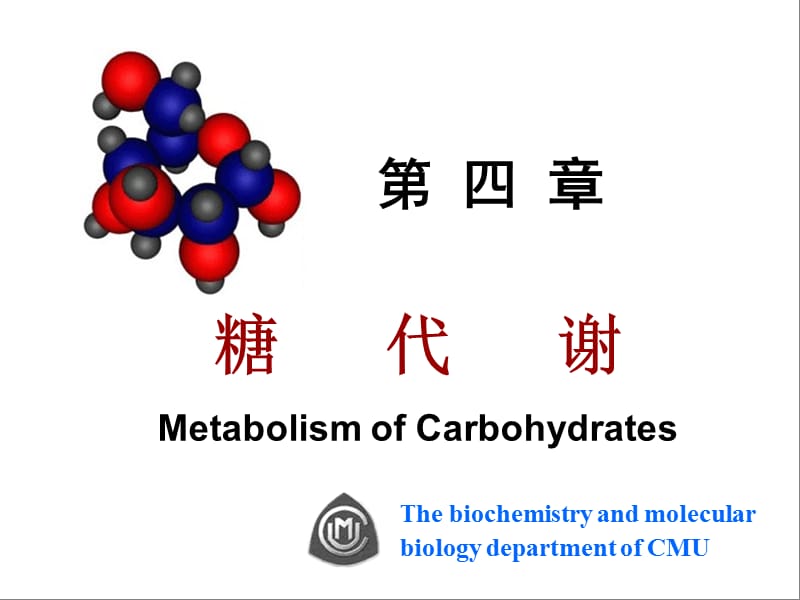 糖代谢.ppt_第1页