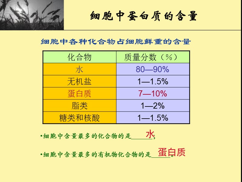 蛋白质专题复习ppt课件.ppt_第3页