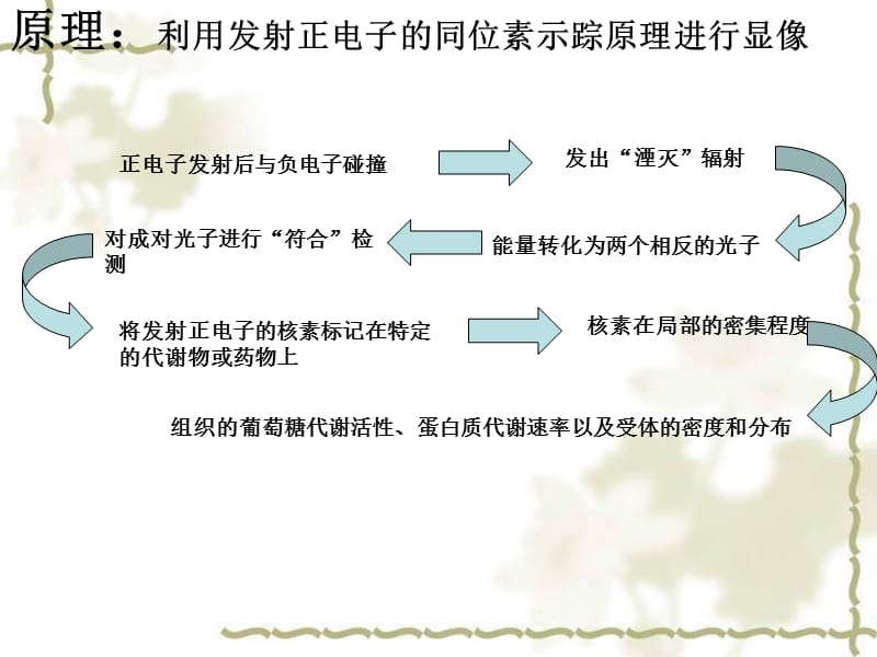 正电子发射型计算机断层扫描.ppt_第3页