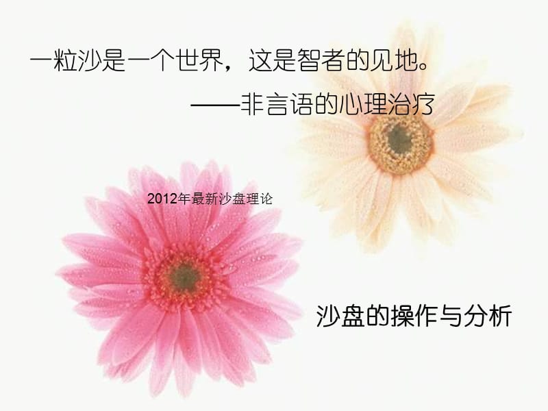 最新沙盘理论.ppt_第1页