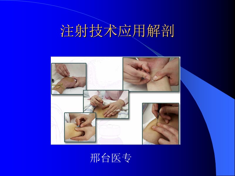 解剖护理用.ppt_第1页