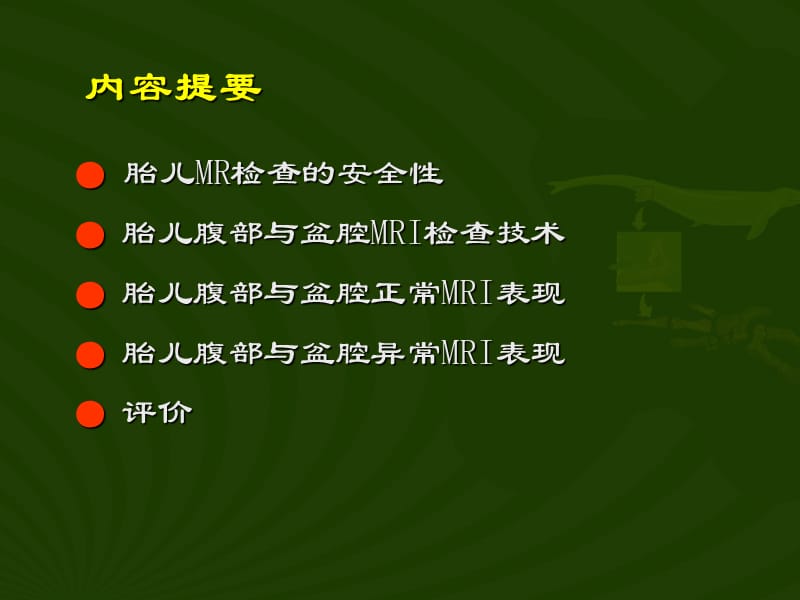 胎儿腹部MRI在腹部与盆腔中的临床应用及评价.ppt_第2页