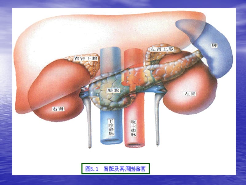 病例讨论肾上腺武荣.ppt_第3页