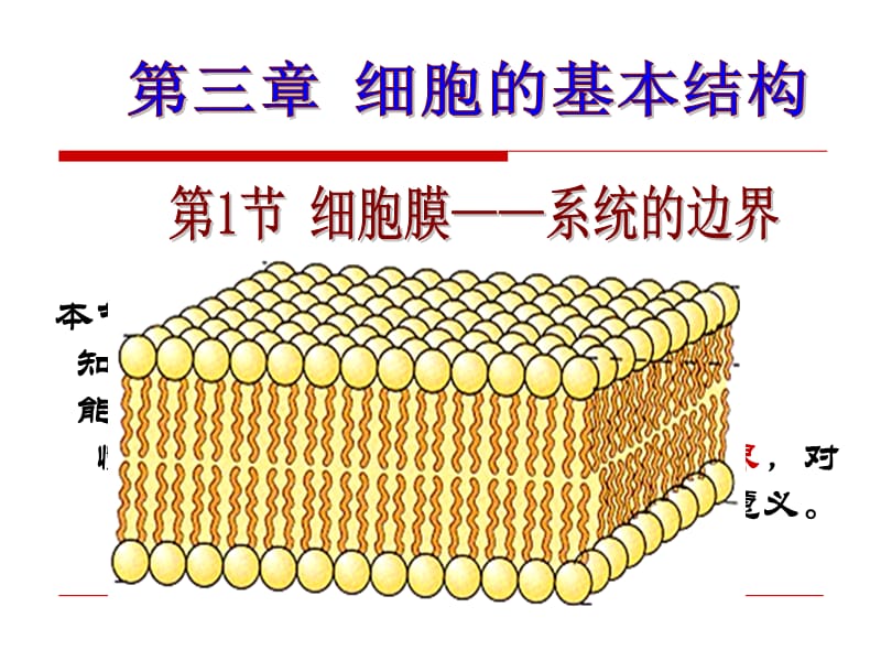 细胞膜系统的边界46ppt.ppt_第1页