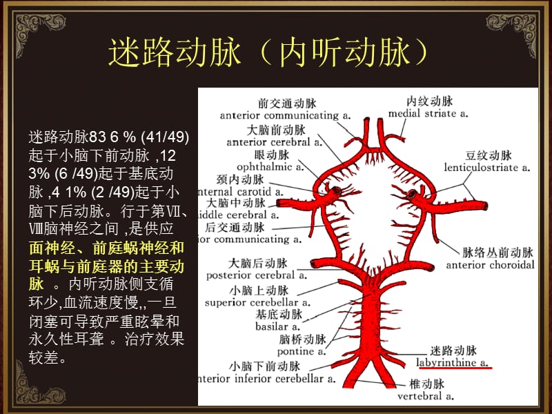 脑血管解剖及脑梗塞定位诊断-迷路动脉.ppt_第3页