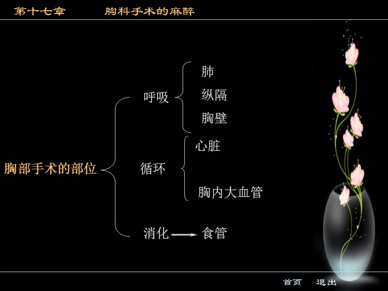 胸科手术麻醉.ppt_第2页