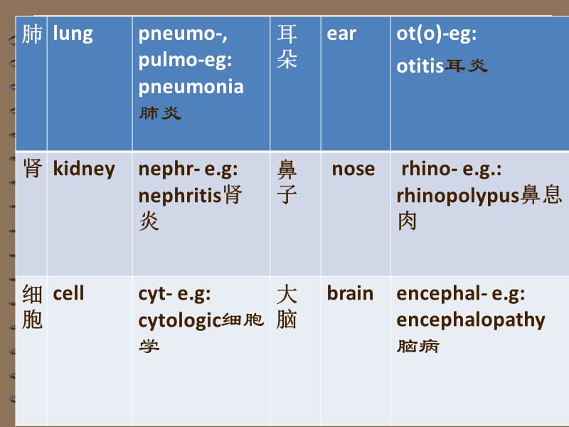 最简单的医学英语,适合初学者哦~~.ppt_第3页