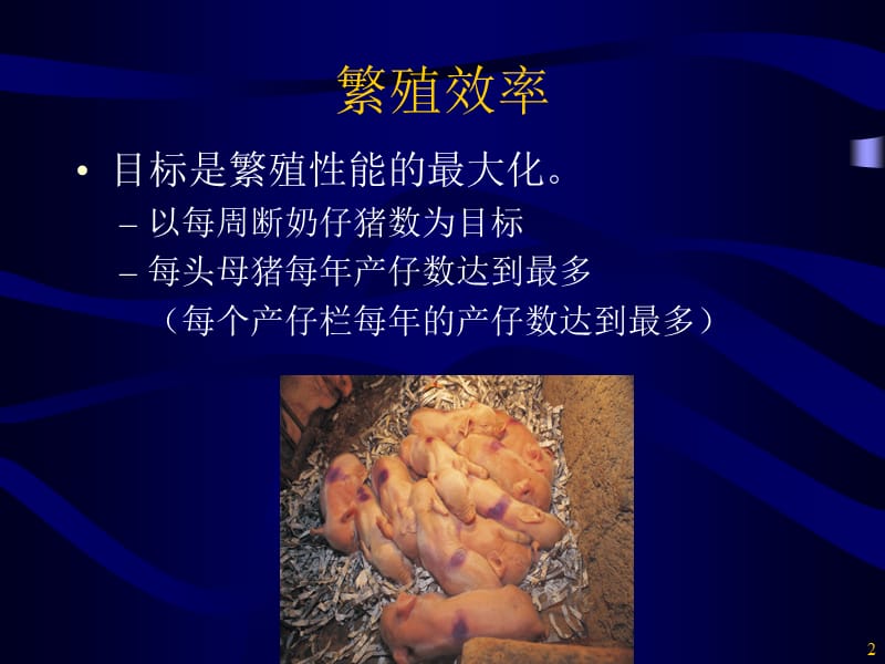 饲喂种猪群-后备.ppt_第2页