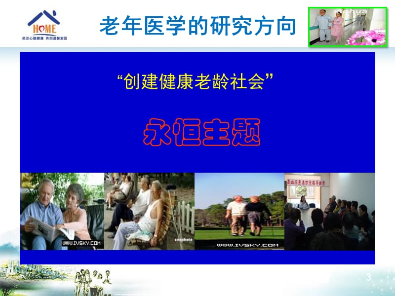 老年卫生保健服务.ppt_第3页