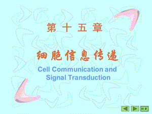 沈阳药科大学生物化学课件——第15章 细胞信息转导.ppt