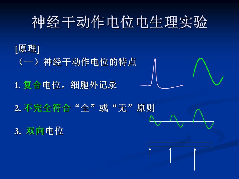 神经干动作电位电生理实验.ppt_第2页