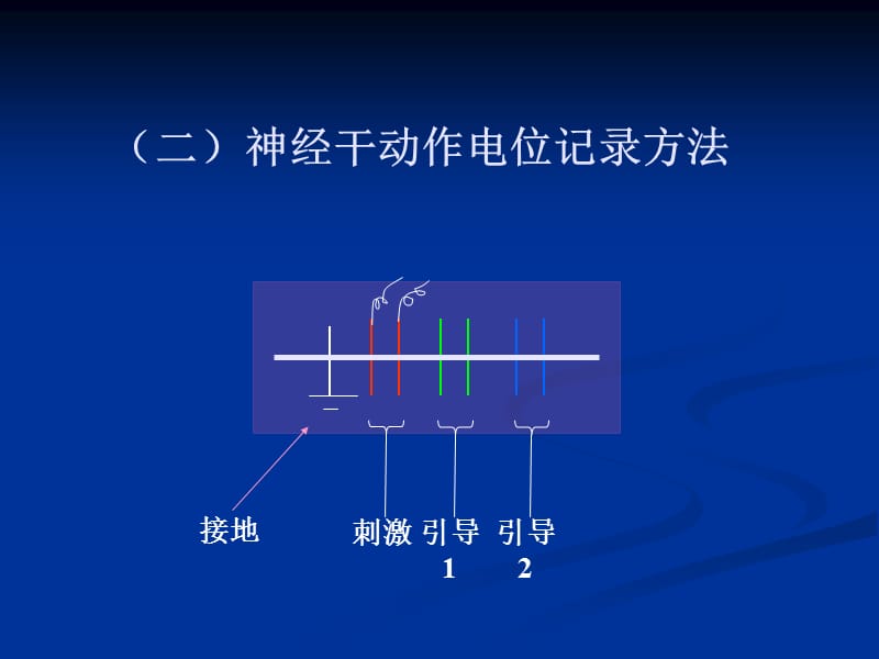 神经干动作电位电生理实验.ppt_第3页