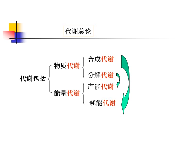 生物化学-第七章糖代谢.ppt_第3页