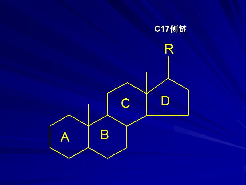 第八章甾体类化合物.ppt_第2页