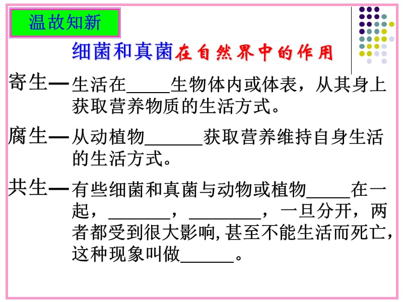 细菌和真菌在自然界中的作用作为参与引起.ppt_第3页