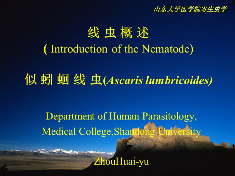 线虫概述IntroductionoftheNematode似蚓蛔线虫.ppt_第1页