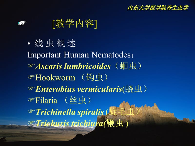 线虫概述IntroductionoftheNematode似蚓蛔线虫.ppt_第3页