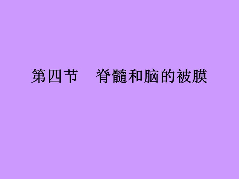 脑被膜血管.ppt_第1页