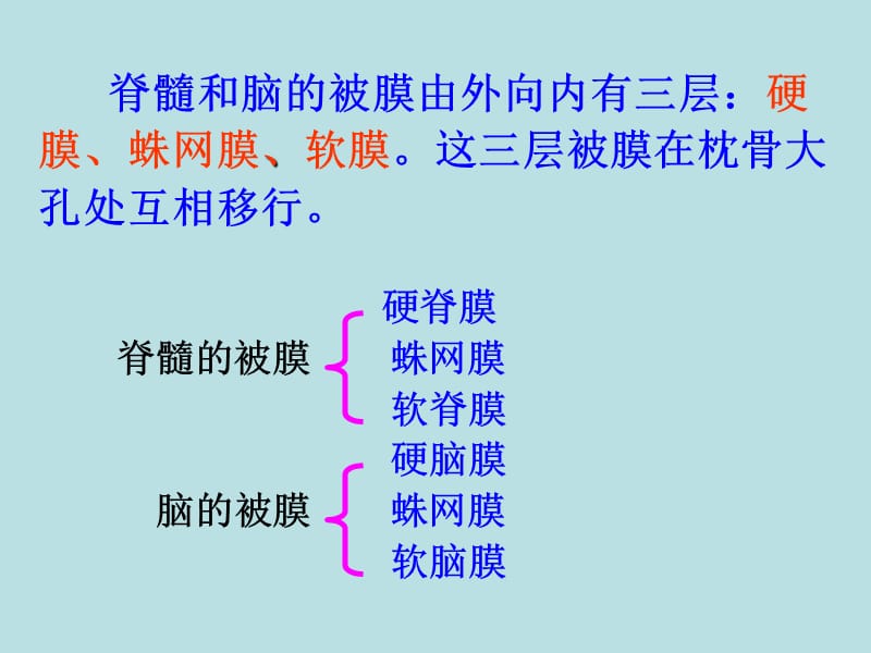 脑被膜血管.ppt_第2页