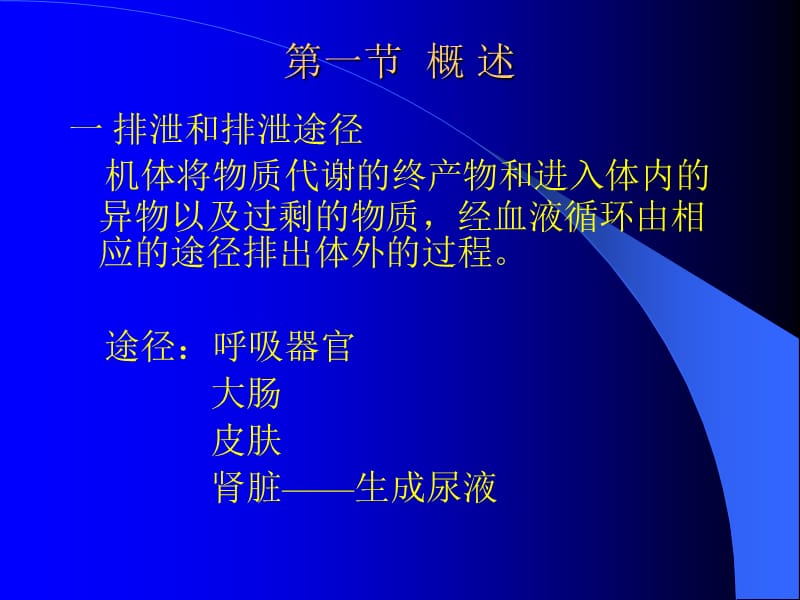 第八章尿的生成和调节.ppt_第2页