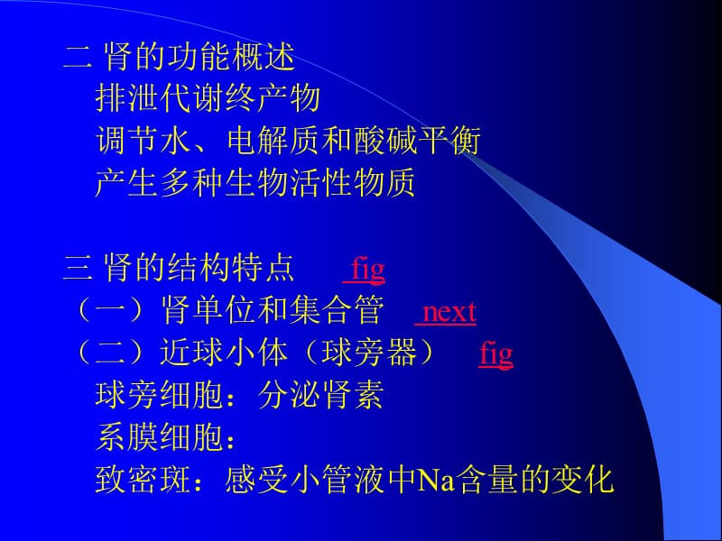 第八章尿的生成和调节.ppt_第3页