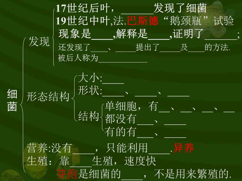 细菌和真菌分布.ppt_第2页