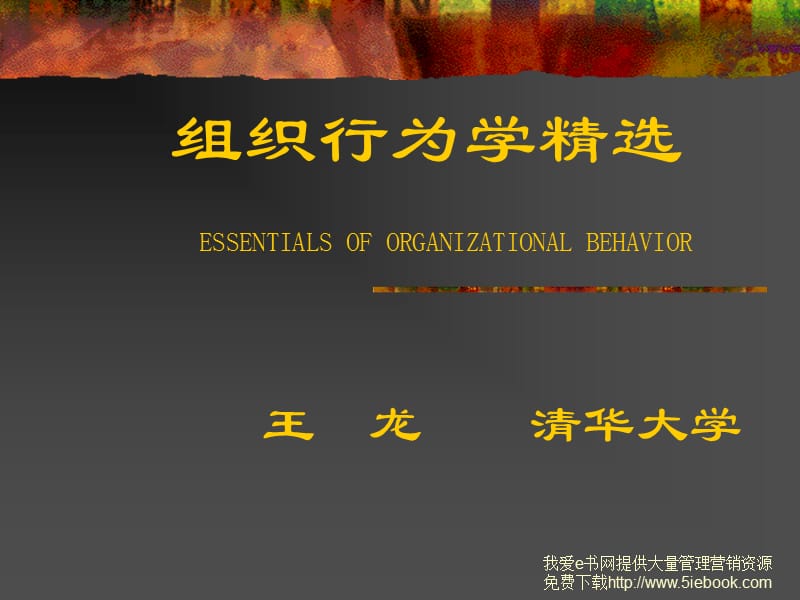 清华大学MBA组织行为学精选.ppt_第1页