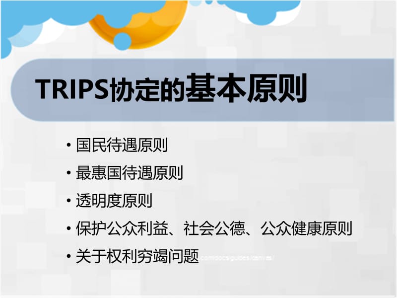 美国诉印度药品和农业化学产品专利保护案(trips).ppt_第3页