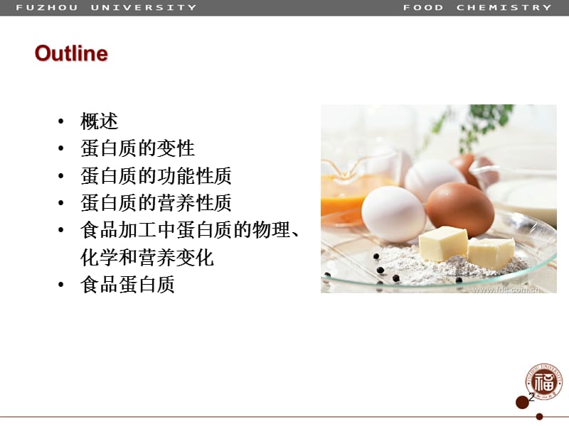 食品化学-05蛋白质.ppt_第2页