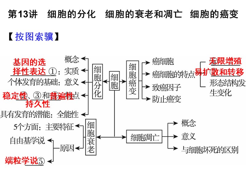 第13讲细胞的分化细胞的衰老和凋亡细胞的癌变.ppt_第1页