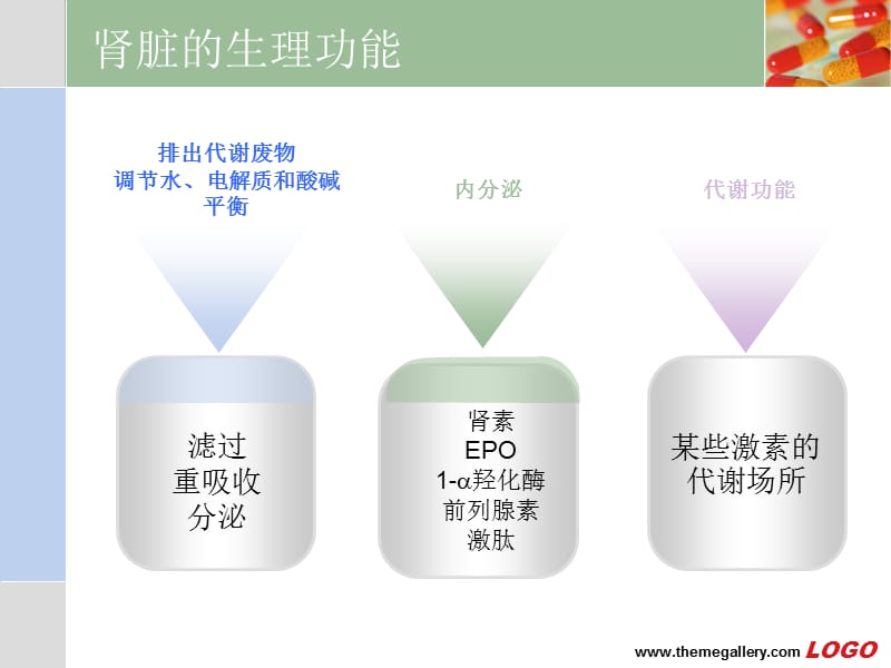 肾脏疾病常见症状及诊断.ppt_第3页