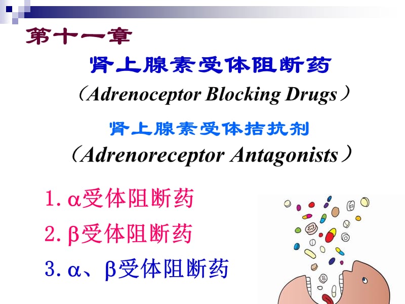 肾阻断药.ppt_第1页