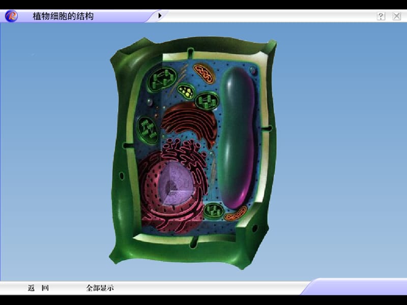 生物：《细胞膜的结构和功能》课件.ppt_第3页