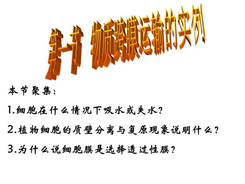 跨膜运输(1).ppt_第1页