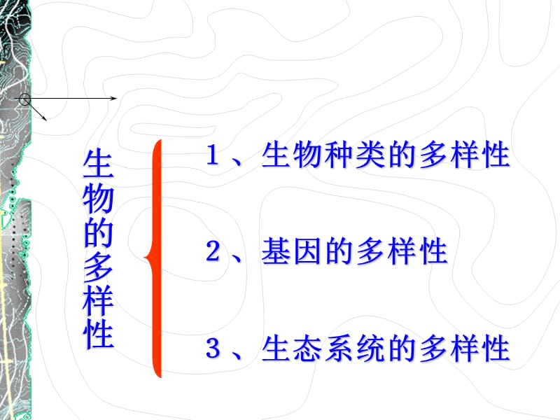 认识生物的多样性.ppt_第2页