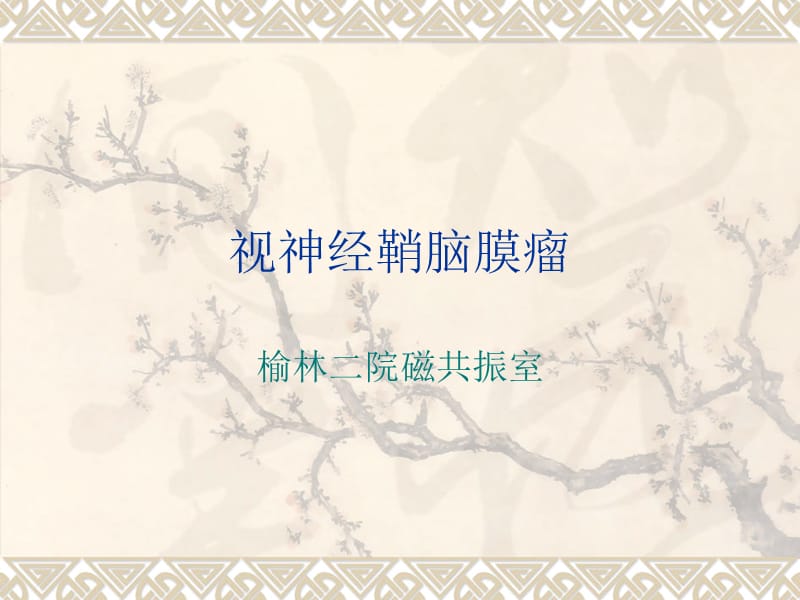 视神经鞘脑膜瘤.ppt_第1页