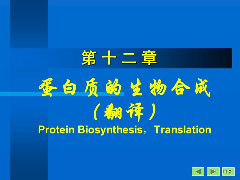课件蛋白质的生物合成翻译ProteinBiosynthesisTranslation.ppt_第1页