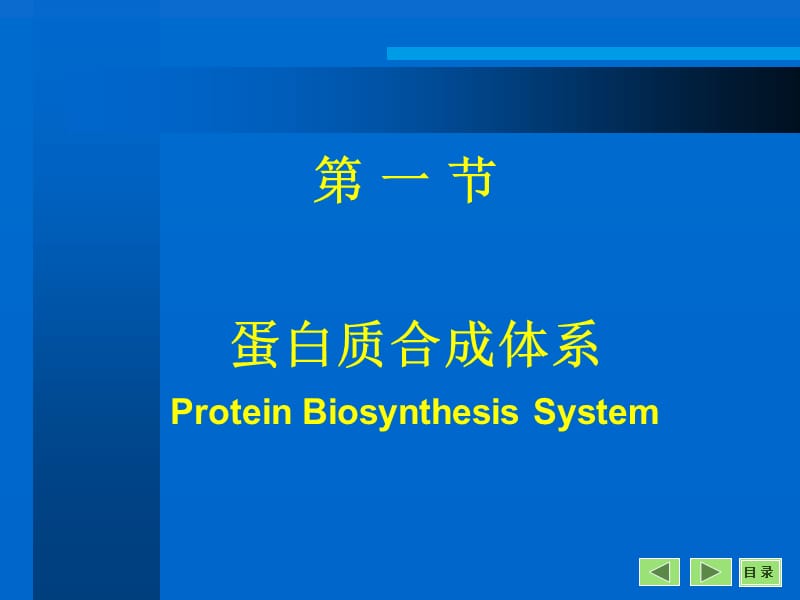 课件蛋白质的生物合成翻译ProteinBiosynthesisTranslation.ppt_第3页